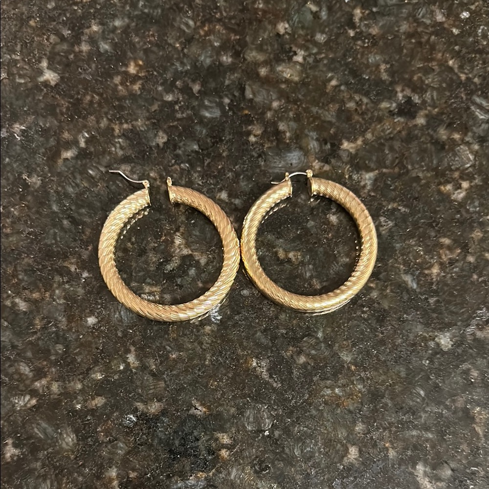 Elegant Gold Hoop Earrings
